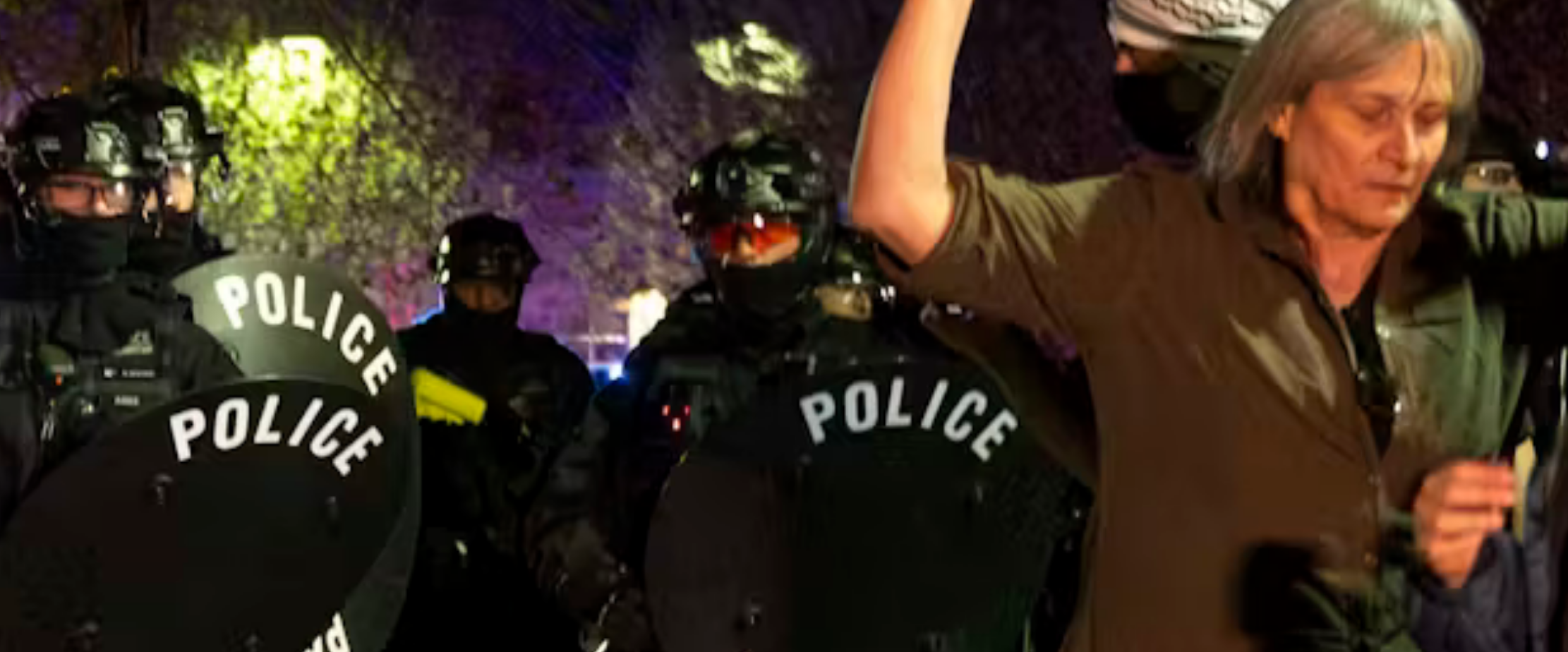 A woman stands facing away from a line of riot police wearing shields, body armor and helmets with floodlights behind them. It is dark out.
