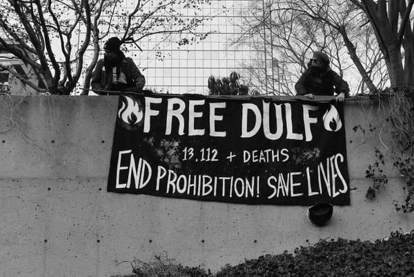 Two activists drop a banner that reads Free Dulf / 13,112+ Deaths / End Prohibition! Save Lives