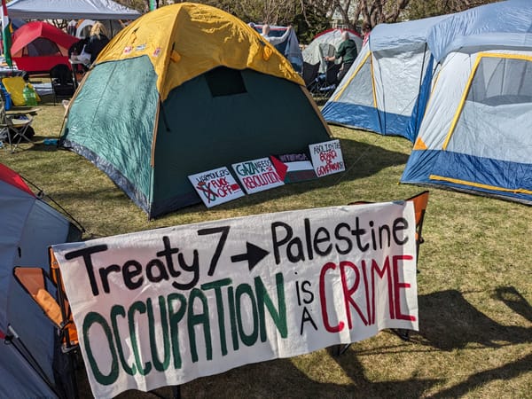 Treaty 7 to Palestine, occupation is a crime