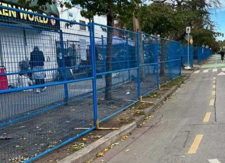 A blue security fence encloses the grassy median between sidewalk and bike line in Victoria, BC.